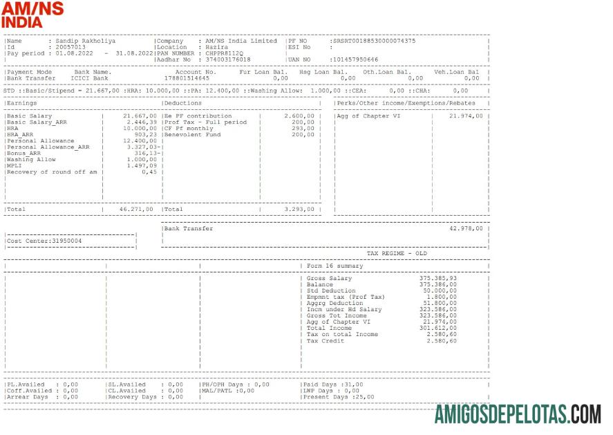 AM NS Índia Paystubo baixar para verificação